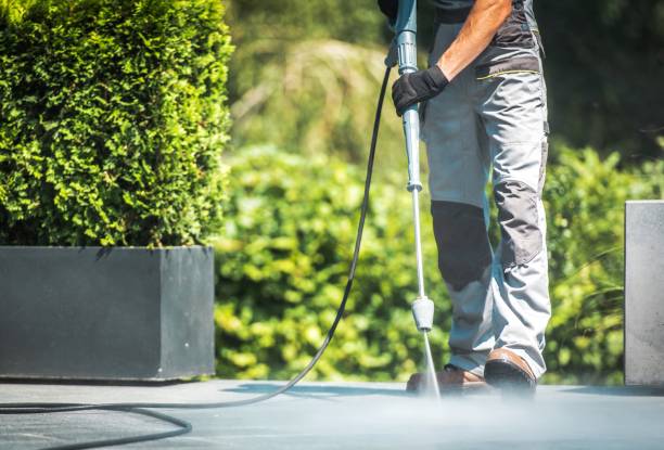 Best Spring Cleaning  in Aust, IN