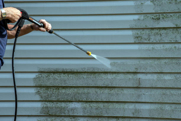 Best Dumpster Area Cleaning  in Aust, IN